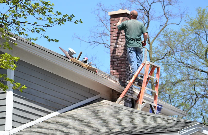 Chimney & Fireplace Inspections Services in Homer Glen, IL